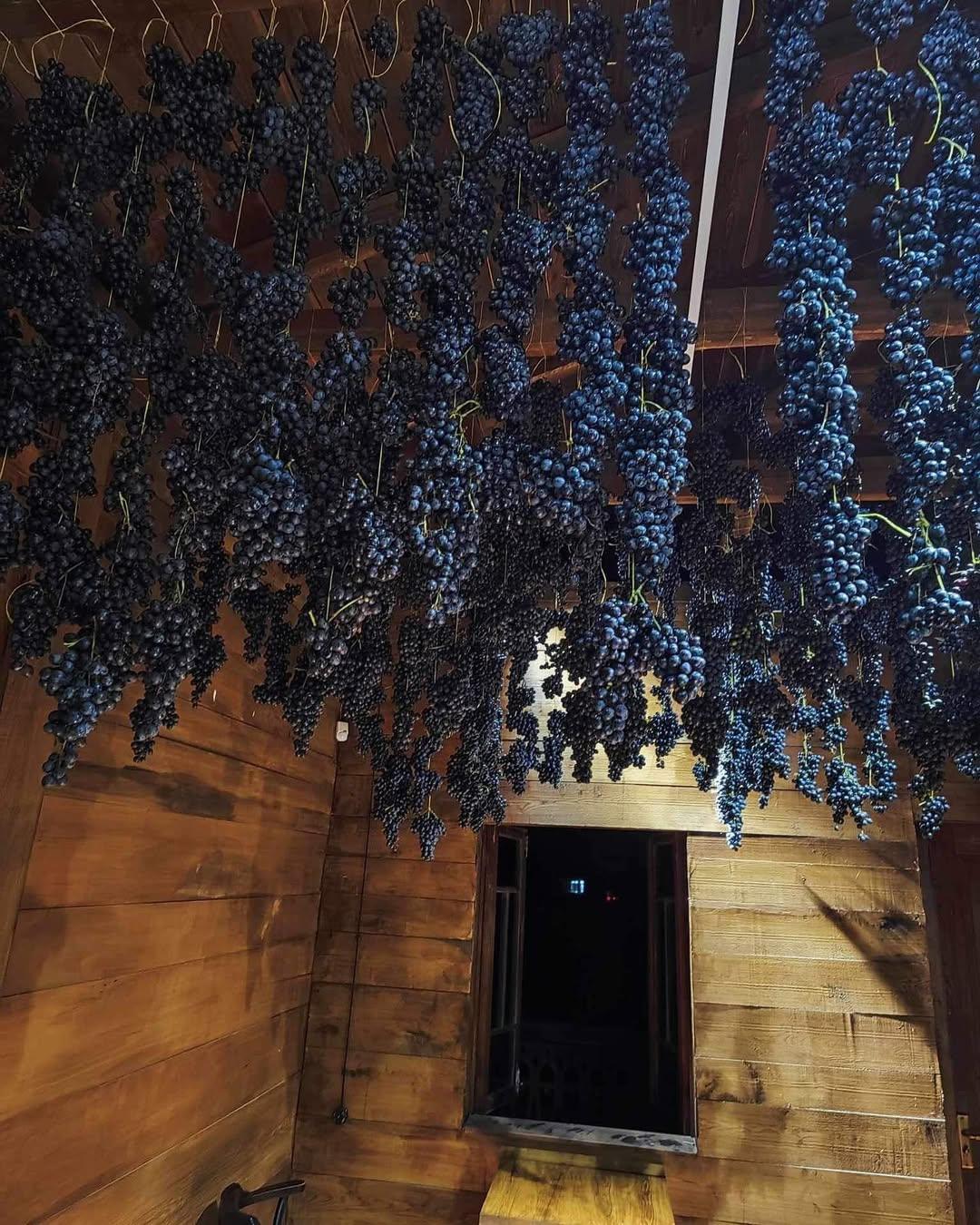 ジョージア 赤ワイン アラダストゥリ 2023 イメレティ チュリチネブリ