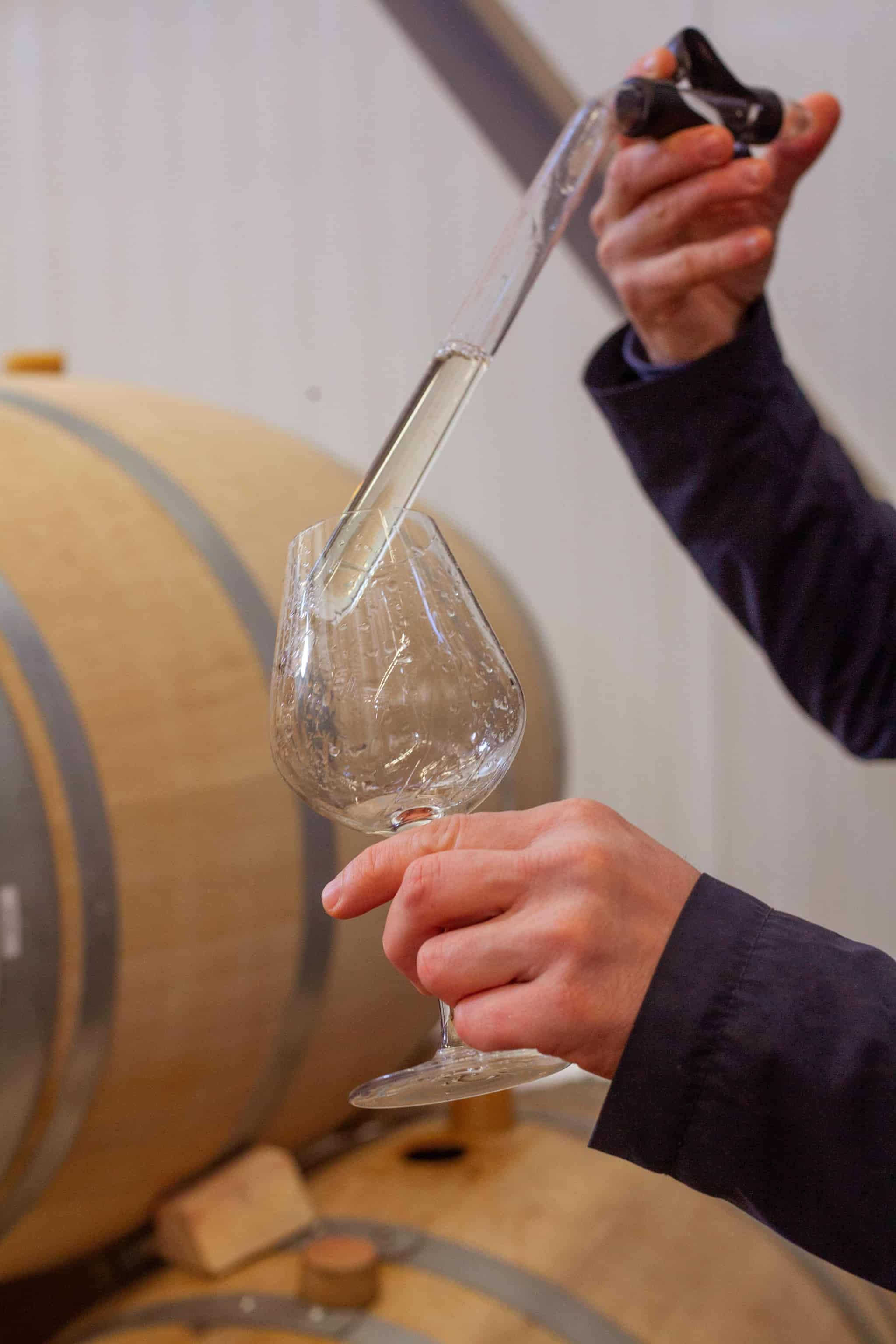 ルカツィテリ ジョージア 白ワイン 2023 カヘティ ティコエステイト