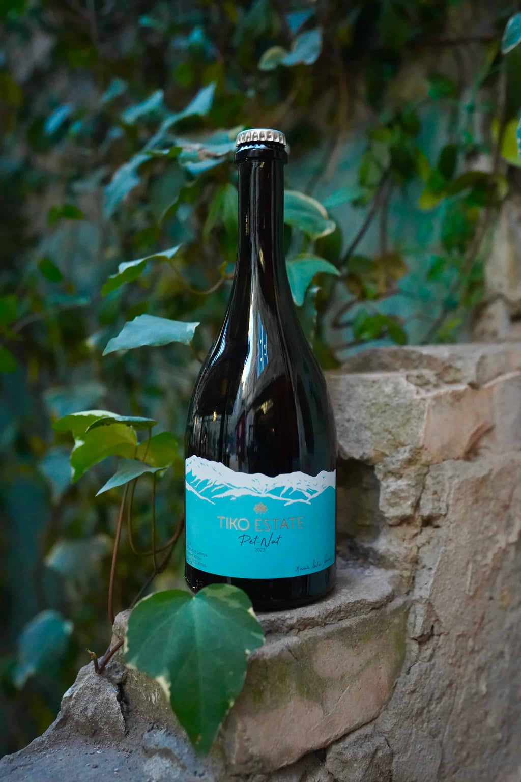 ペットナット/微発泡 カヘティ ヒフヴィ ティコエステイト 2023