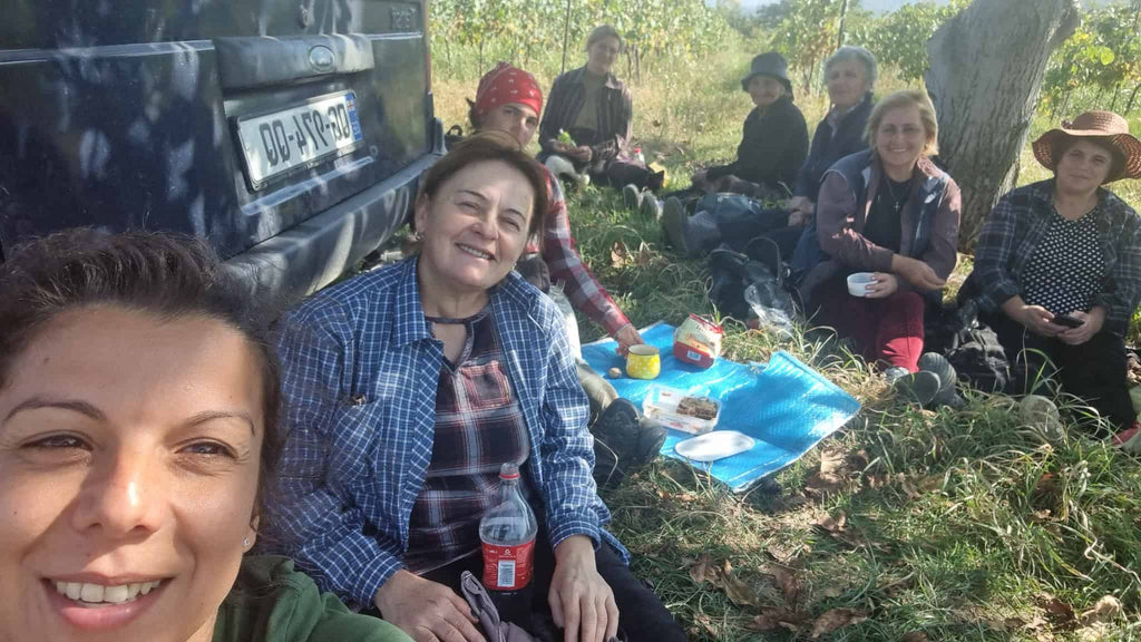 ペットナット/微発泡 カヘティ ヒフヴィ ティコエステイト 2023